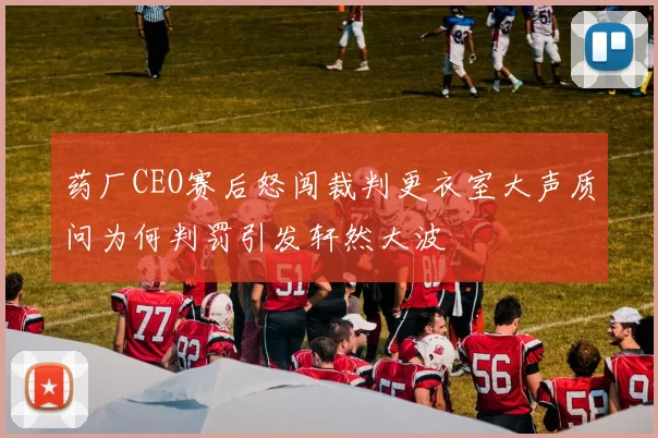 药厂CEO赛后怒闯裁判更衣室大声质问为何判罚引发轩然大波